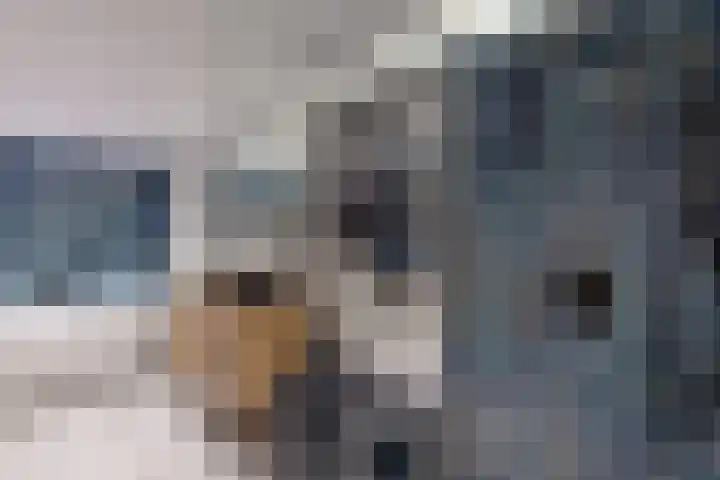 Molenstraat 34 Fijnaart thumbnail 41