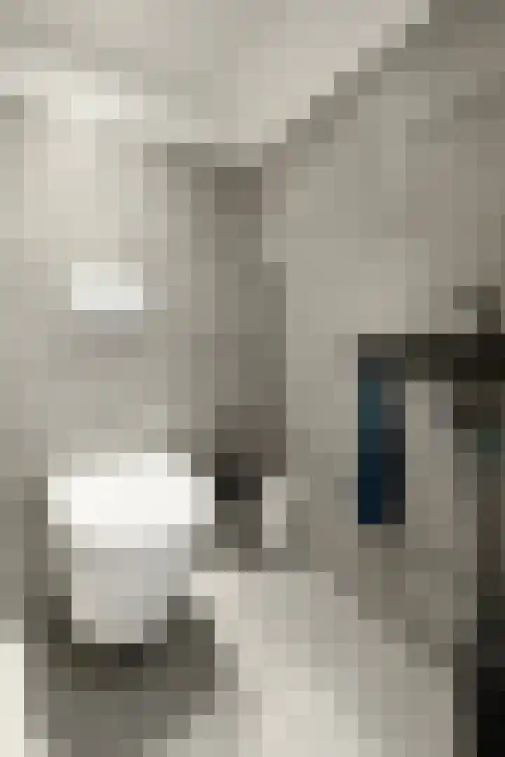 Molenstraat 34 Fijnaart thumbnail 43