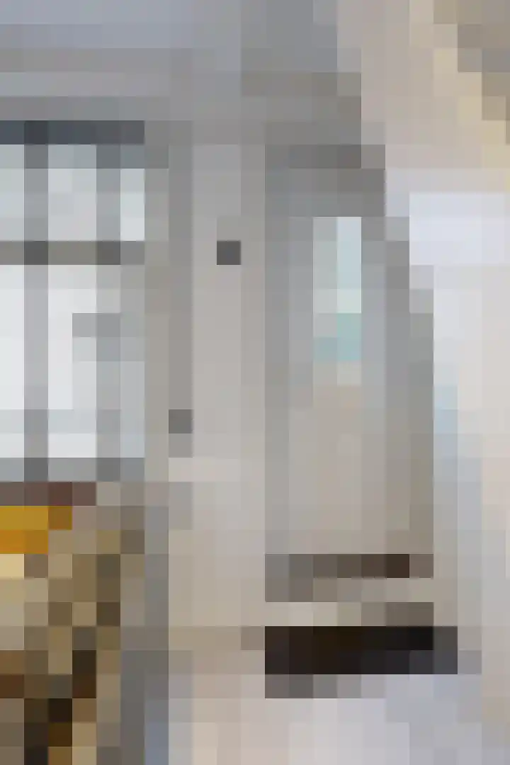 Molenstraat 34 Fijnaart thumbnail 7