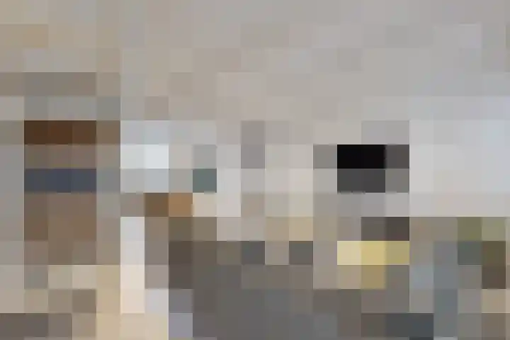 Molenstraat 34 Fijnaart thumbnail 8