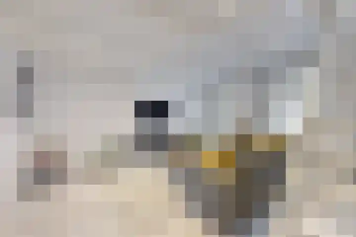 Molenstraat 34 Fijnaart thumbnail 9