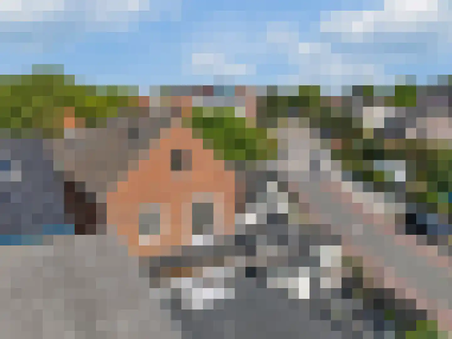 Molenstraat 34 Rhenen thumbnail 18