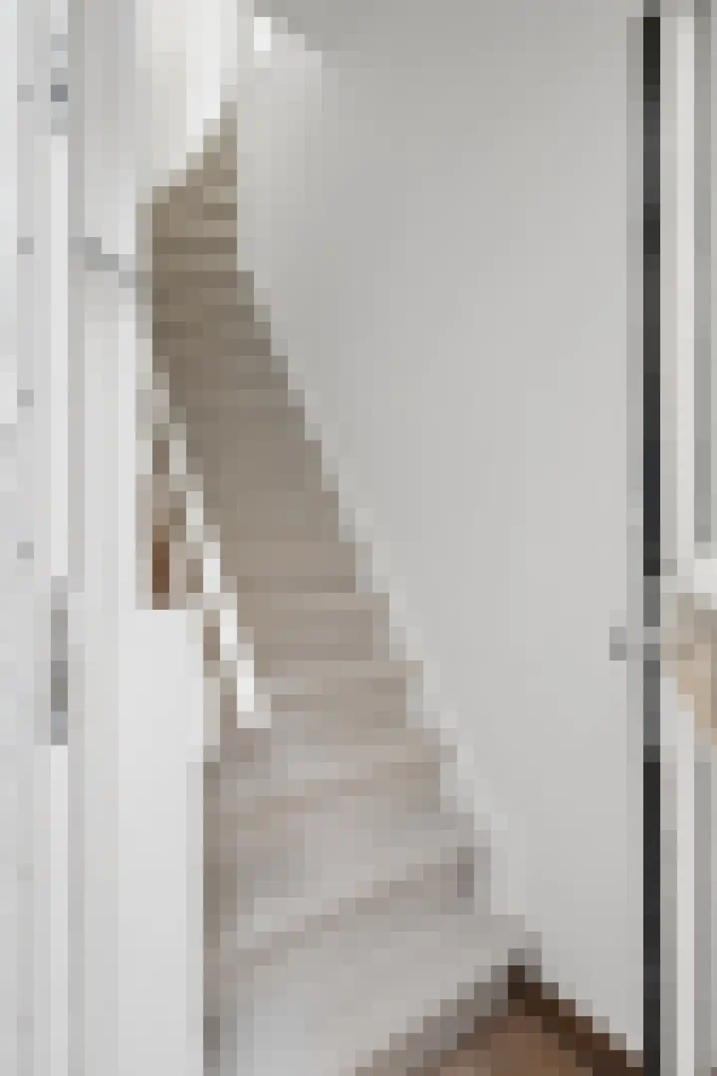 Molenstraat 34 Rhenen thumbnail 6