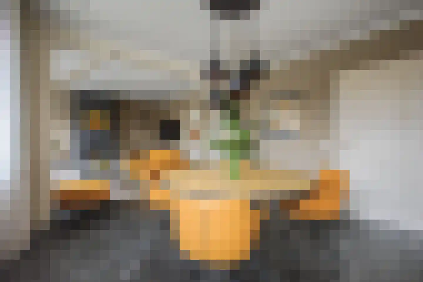 Molenstraat 34 Westdorpe thumbnail 11