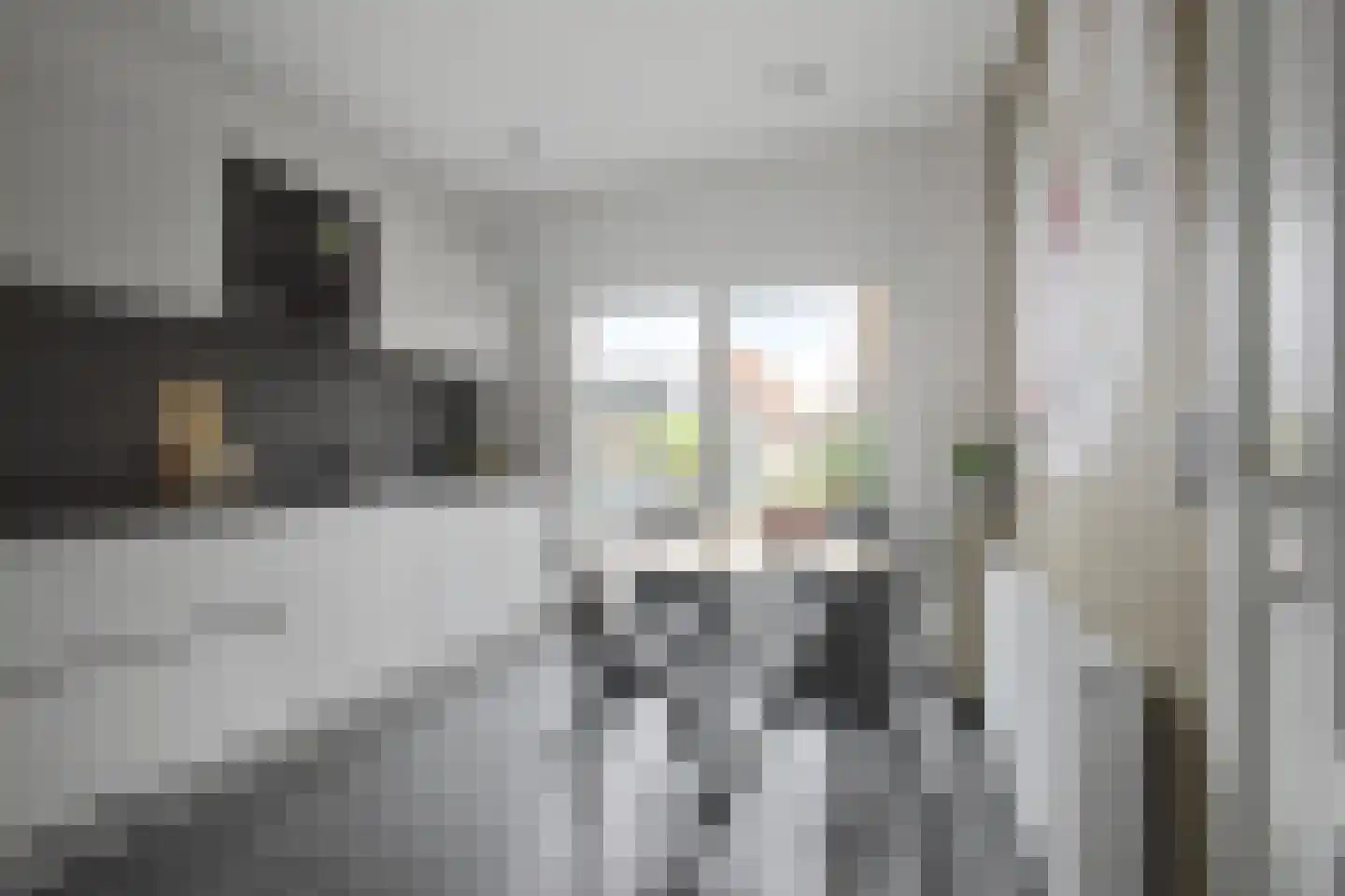 Molenstraat 34 Westdorpe thumbnail 14