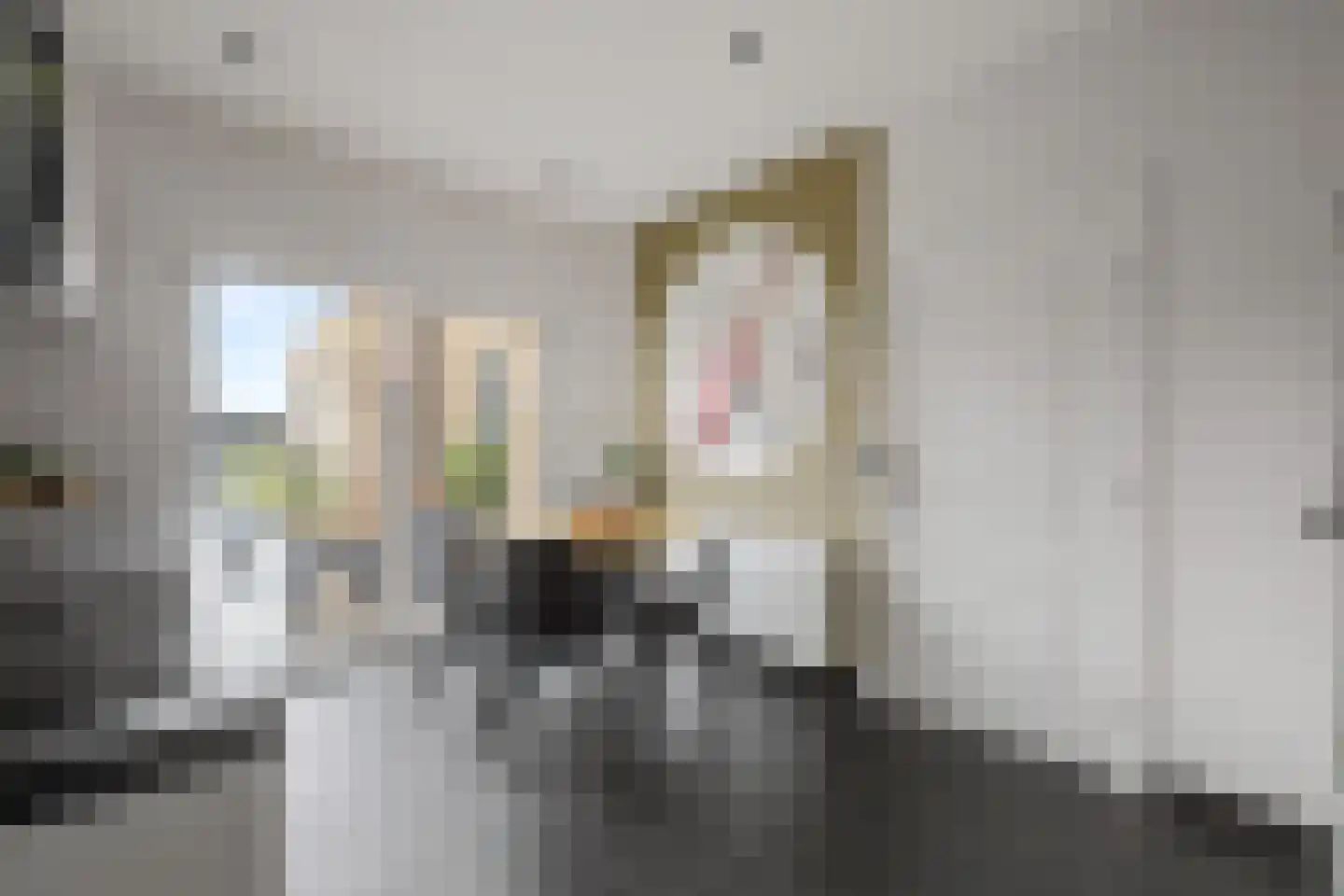 Molenstraat 34 Westdorpe thumbnail 16