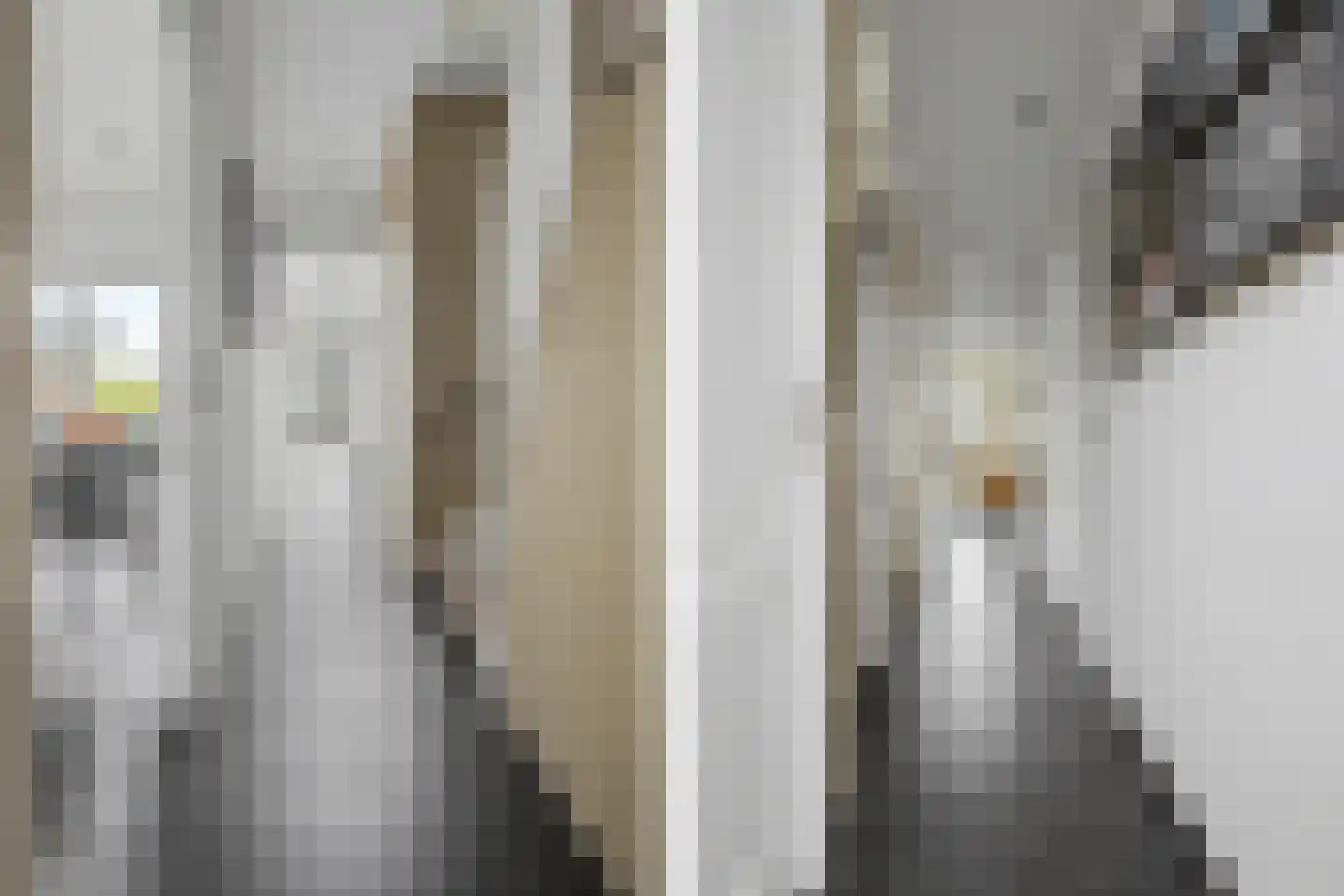 Molenstraat 34 Westdorpe thumbnail 17
