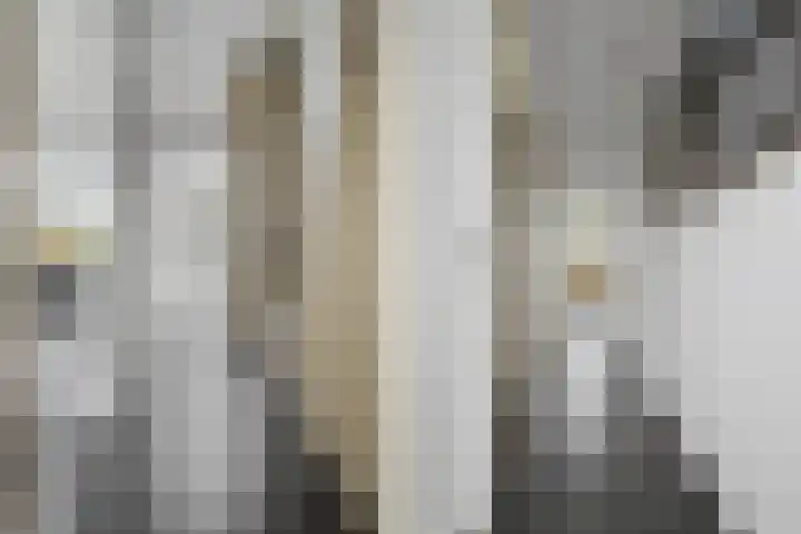 Molenstraat 34 Westdorpe thumbnail 17