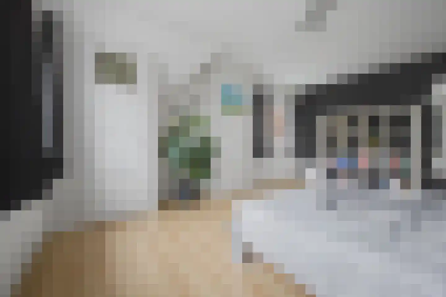 Molenstraat 34 Westdorpe thumbnail 26