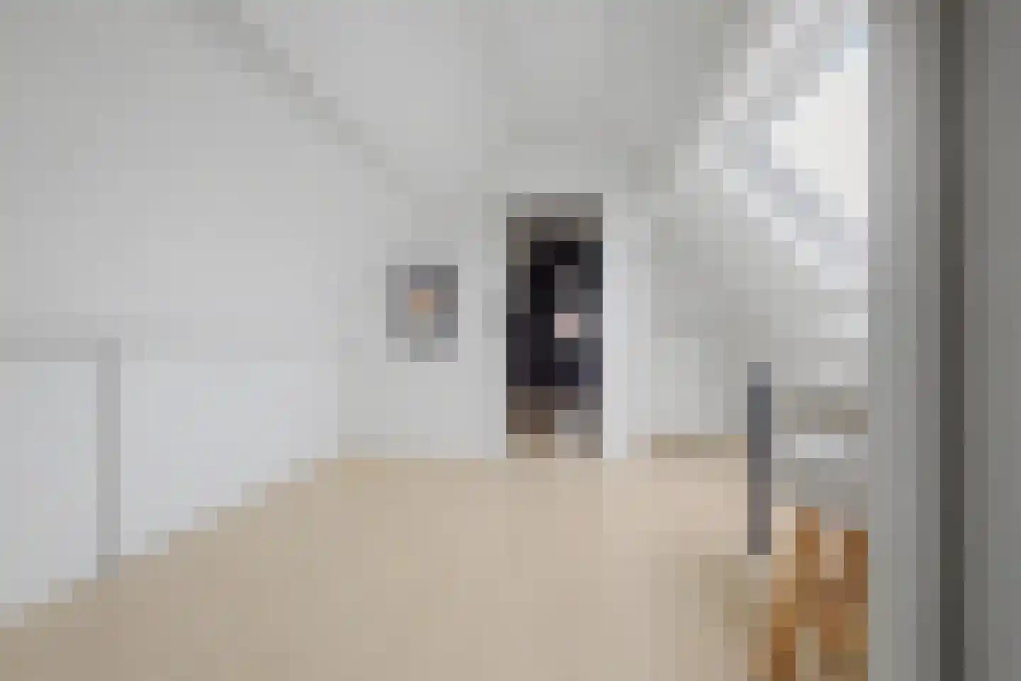 Molenstraat 34 Westdorpe thumbnail 36
