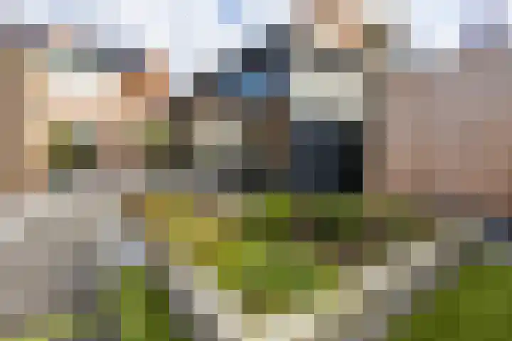 Molenstraat 34 Westdorpe thumbnail 44