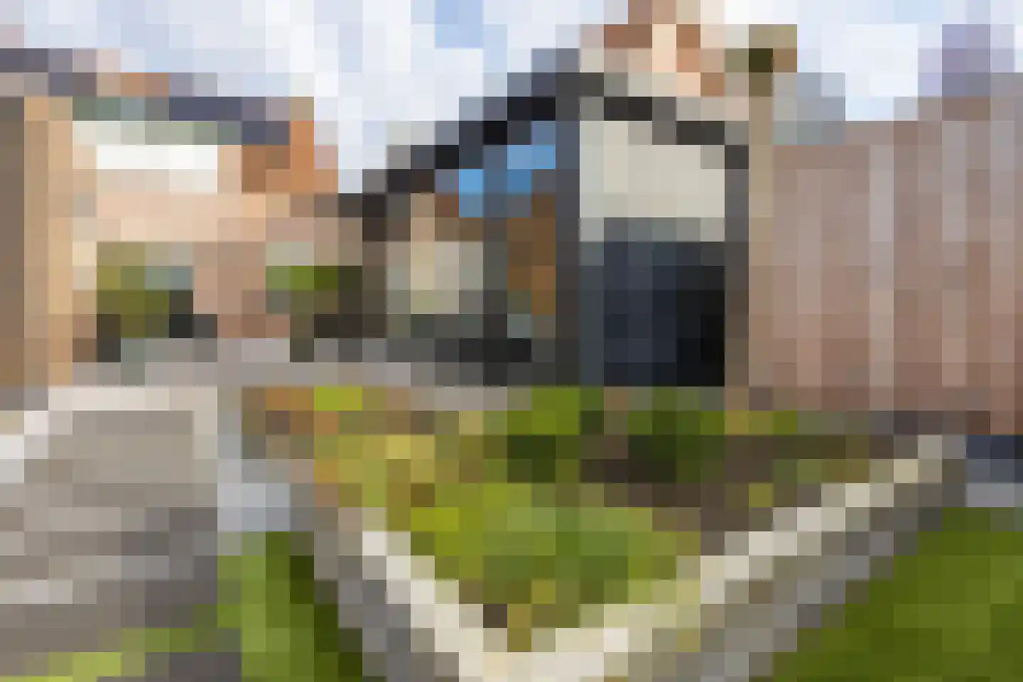 Molenstraat 34 Westdorpe thumbnail 44