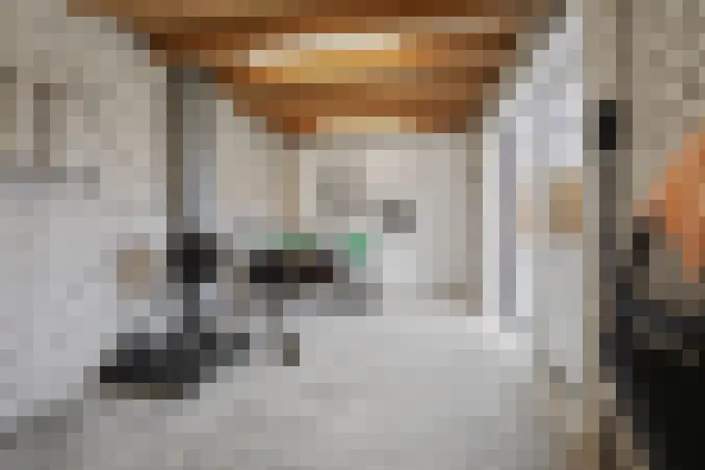 Molenstraat 34 Westdorpe thumbnail 47