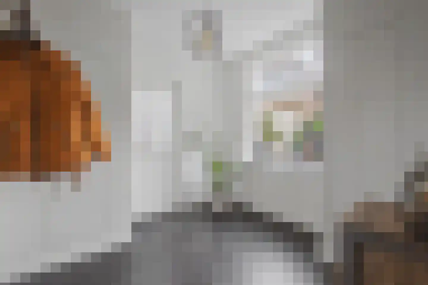 Molenstraat 34 Westdorpe thumbnail 5