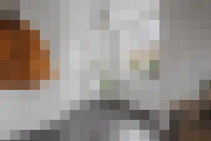 Molenstraat 34 Westdorpe thumbnail 5