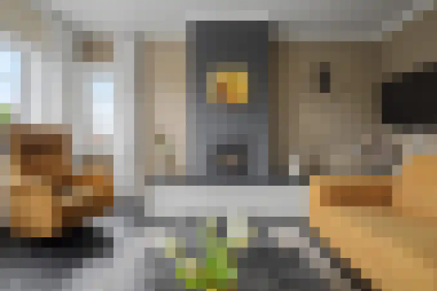 Molenstraat 34 Westdorpe thumbnail 8