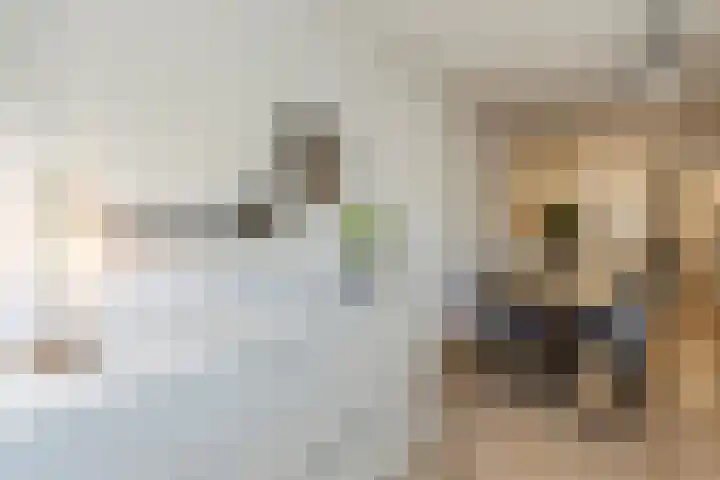 Molenstraat 34 Zwammerdam thumbnail 12