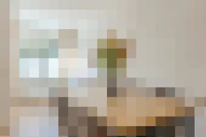 Molenstraat 34 Zwammerdam thumbnail 15