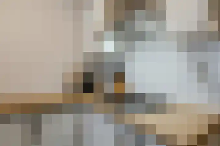 Molenstraat 34 Zwammerdam thumbnail 20