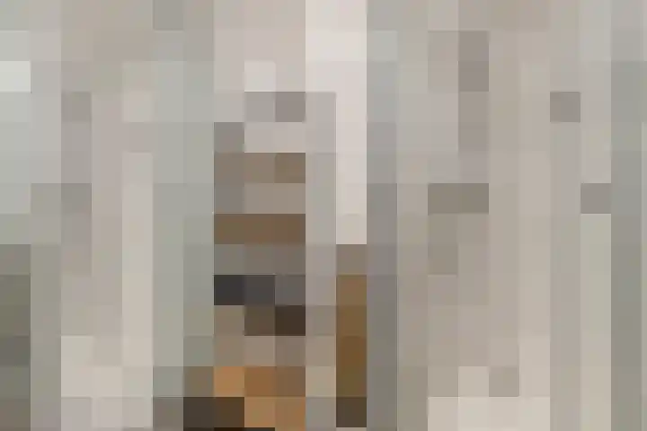 Molenstraat 34 Zwammerdam thumbnail 24