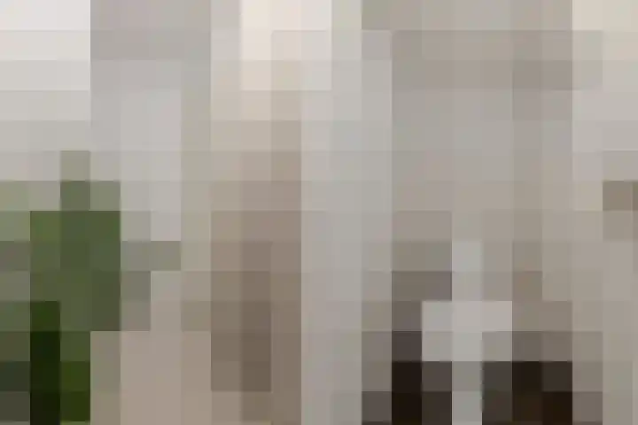 Molenstraat 34 Zwammerdam thumbnail 25
