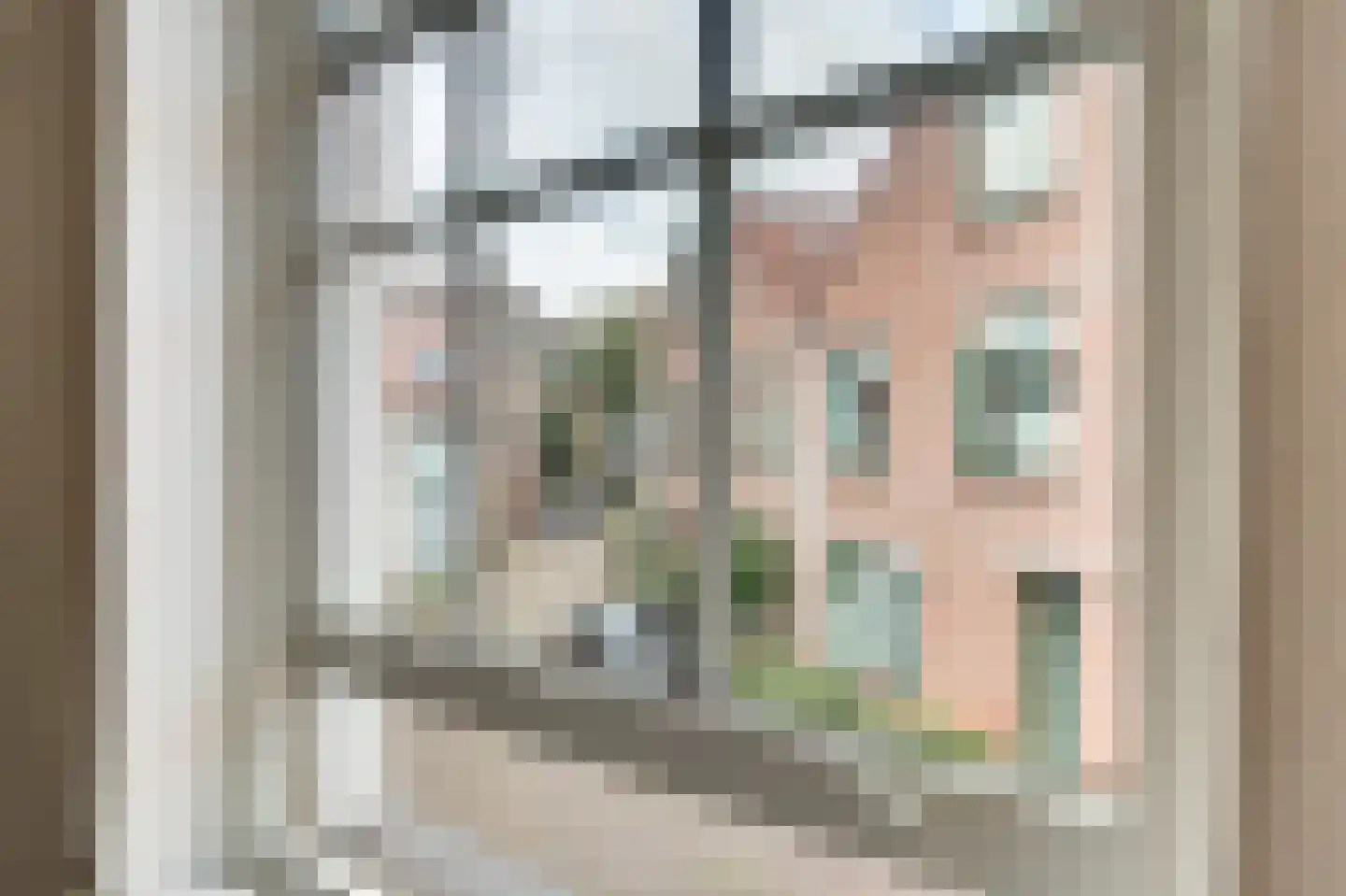 Molenstraat 35 Deventer thumbnail 21