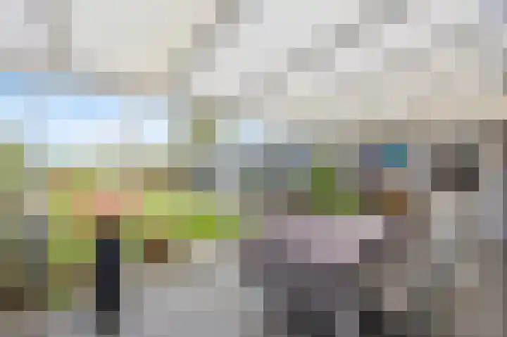 Molenstraat 35 Roosteren thumbnail 20