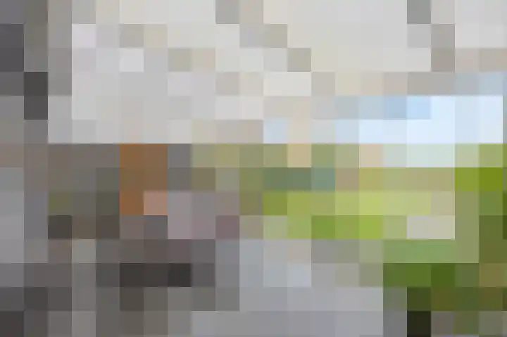 Molenstraat 35 Roosteren thumbnail 21