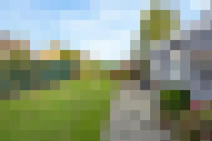Molenstraat 35 Roosteren thumbnail 35