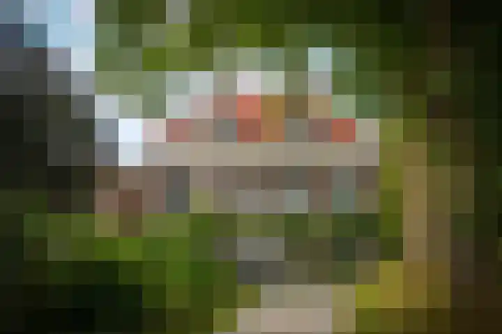 Molenstraat 35 Woudrichem thumbnail 5