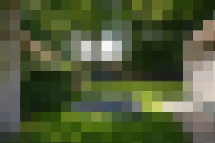 Molenstraat 35 Woudrichem thumbnail 52