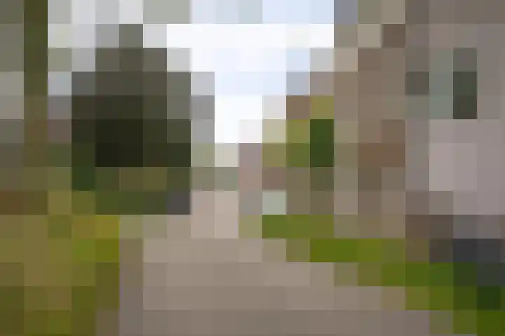 Molenstraat 35 Woudrichem thumbnail 57