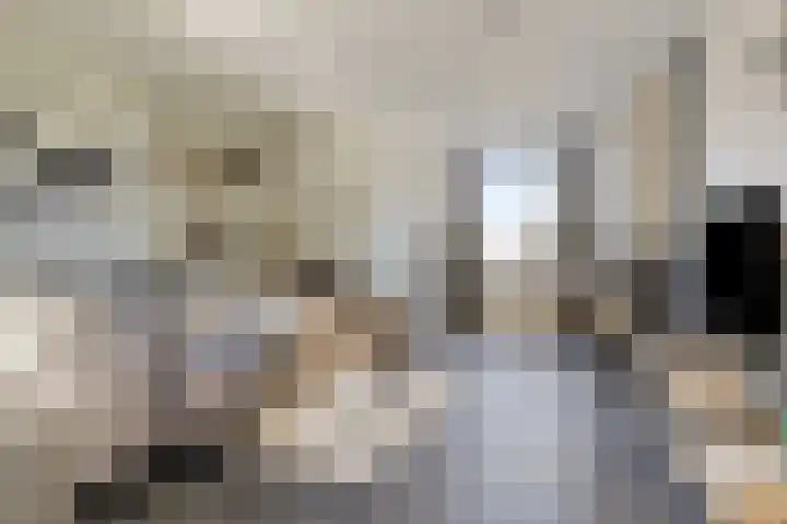 Molenstraat 36 Asten thumbnail 11