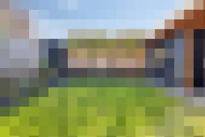 Molenstraat 36 Asten thumbnail 29