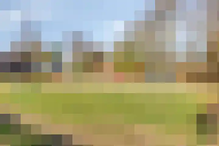 Molenstraat 36 Asten thumbnail 35