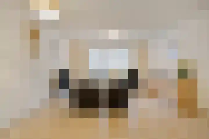 Molenstraat 36 Axel thumbnail 6