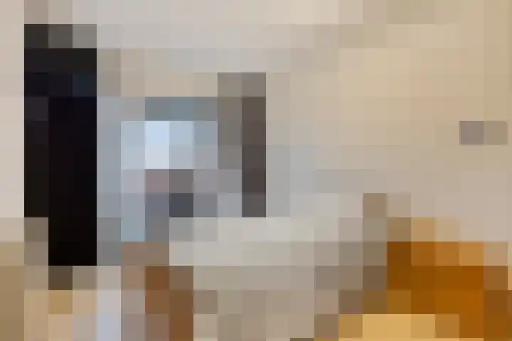 Molenstraat 36 Axel thumbnail 7