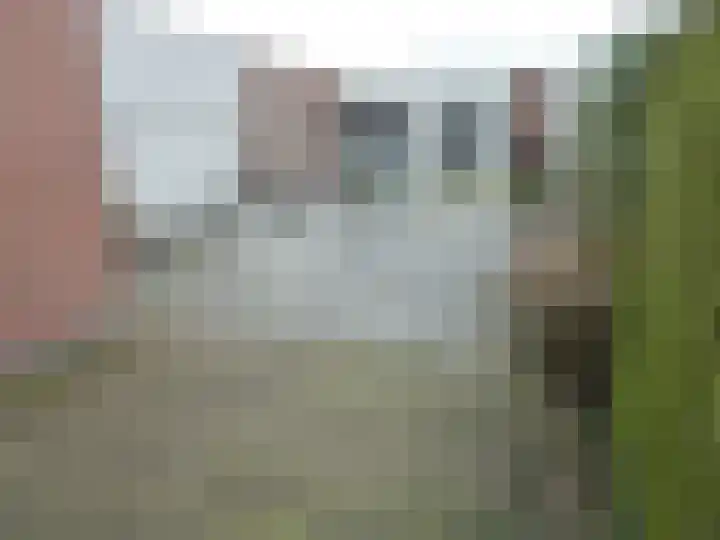 Molenstraat 36 Cuijk thumbnail 9