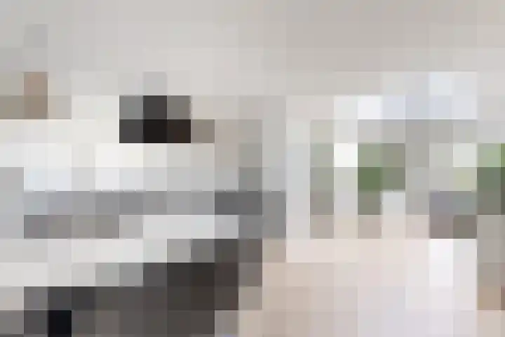 Molenstraat 36 Fijnaart thumbnail 11