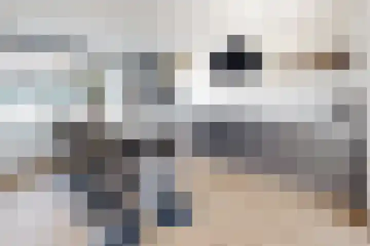 Molenstraat 36 Fijnaart thumbnail 13