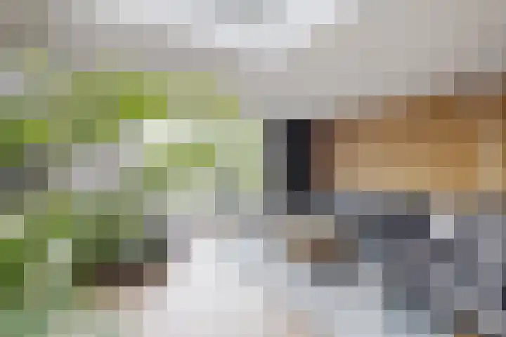 Molenstraat 36 Fijnaart thumbnail 17