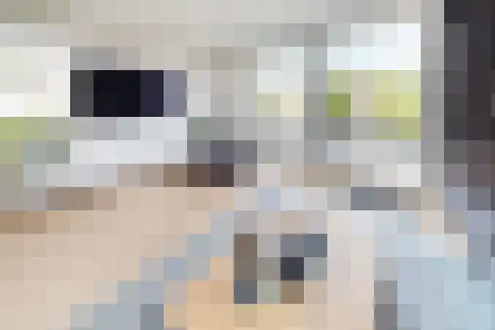 Molenstraat 36 Fijnaart thumbnail 20