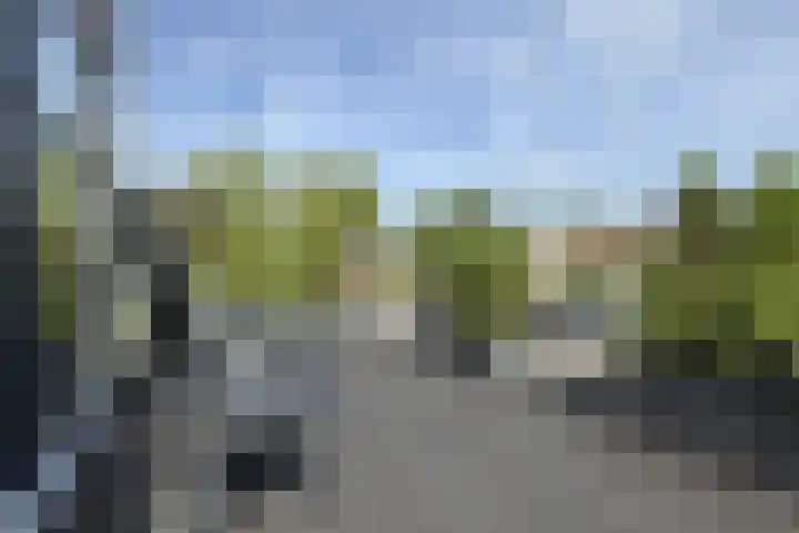 Molenstraat 36 Fijnaart thumbnail 22