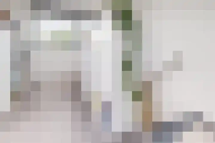 Molenstraat 36 Fijnaart thumbnail 26