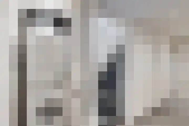 Molenstraat 36 Fijnaart thumbnail 35