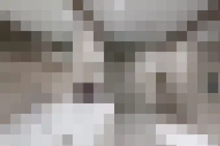 Molenstraat 36 Fijnaart thumbnail 41