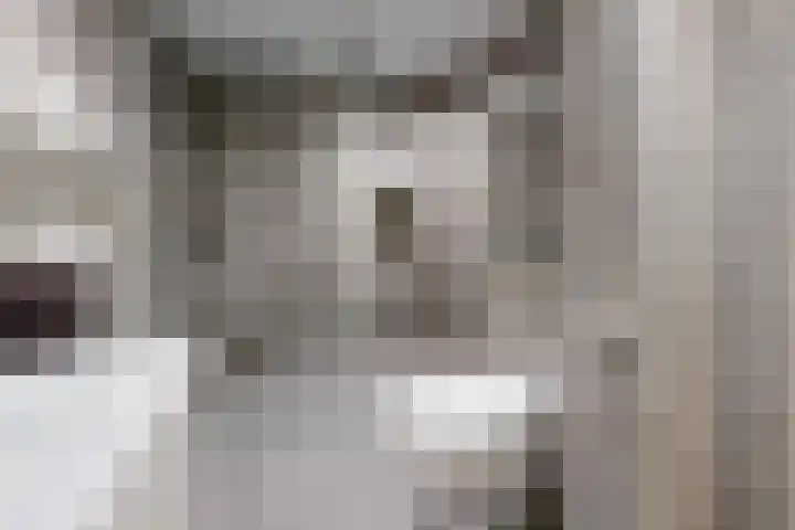 Molenstraat 36 Fijnaart thumbnail 42