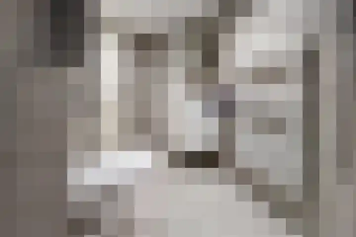 Molenstraat 36 Fijnaart thumbnail 44
