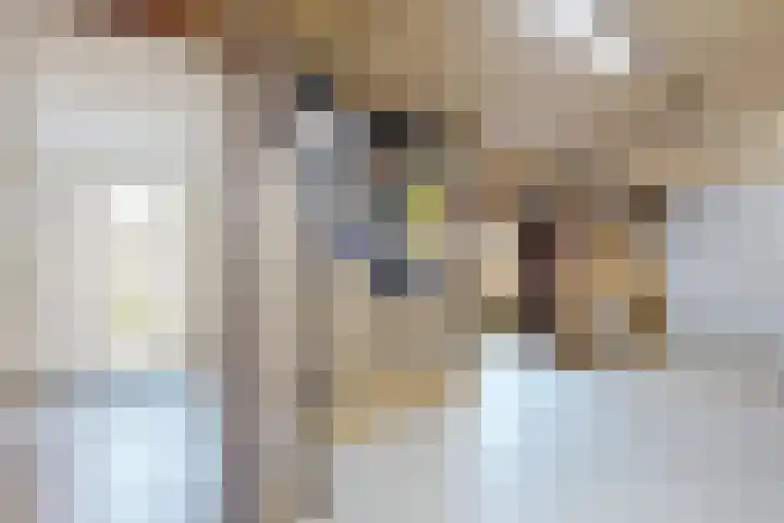 Molenstraat 36 Fijnaart thumbnail 48