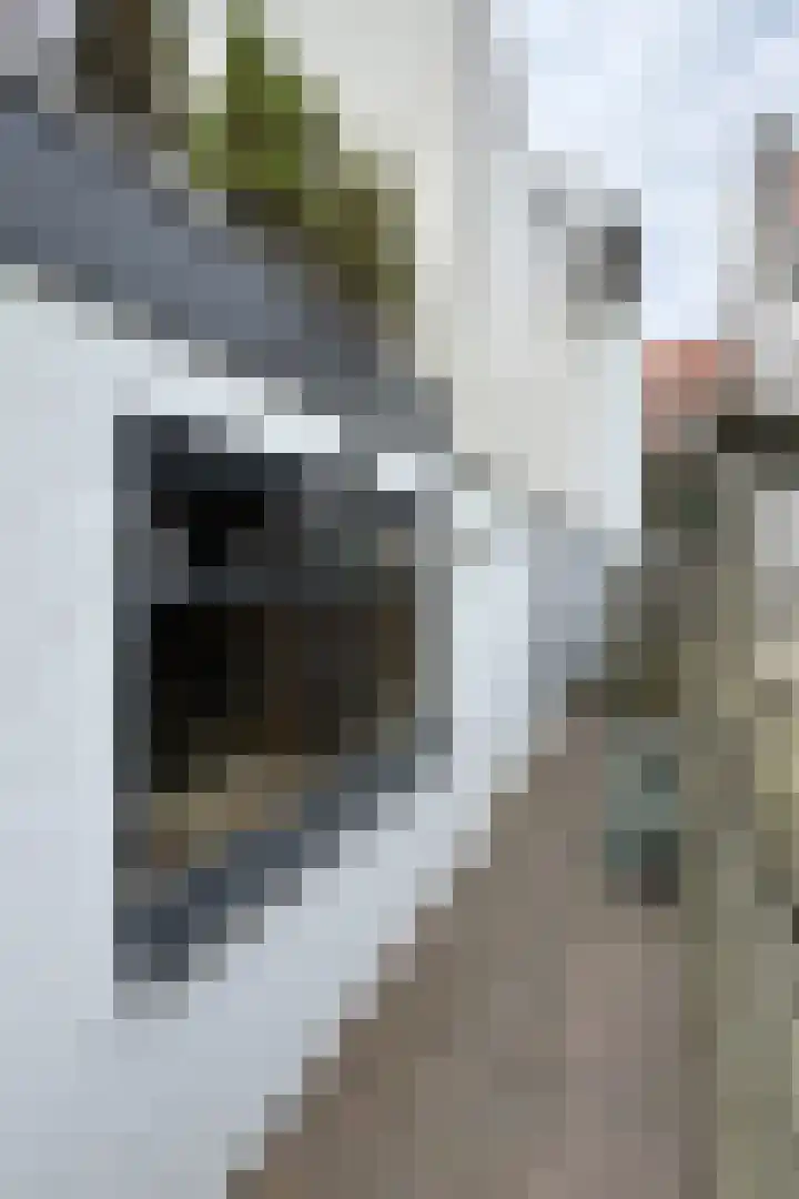 Molenstraat 36 Fijnaart thumbnail 53
